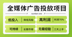 一小我一个月搞个告白